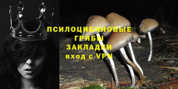 тгк Козельск
