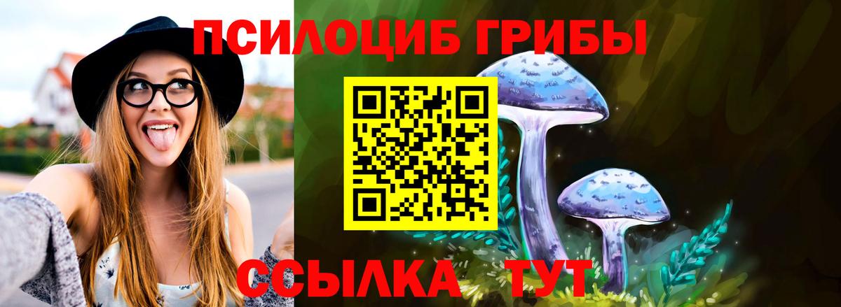 Галлюциногенные грибы Psilocybe Красноперекопск